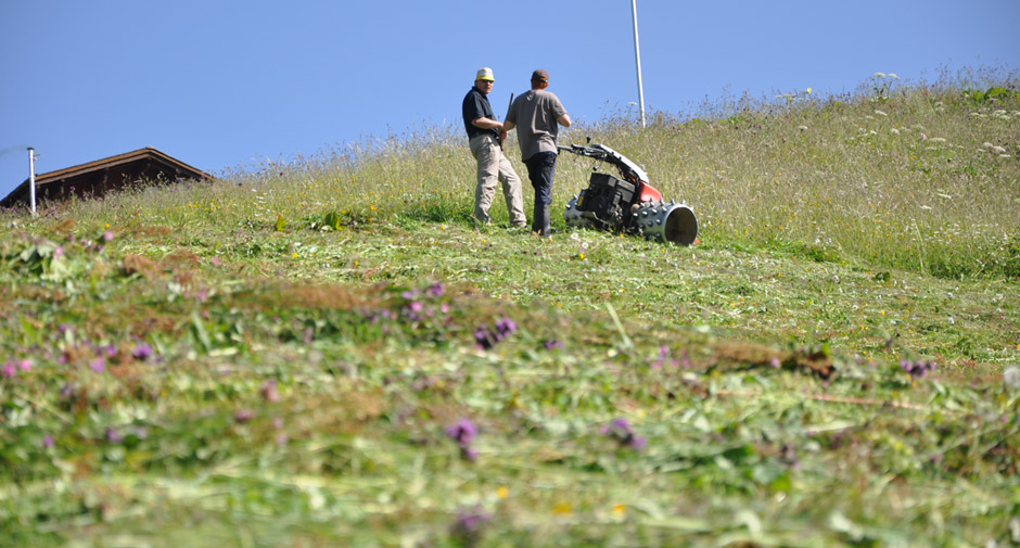 Biobauernhof Lech Sommer | Organic Farm